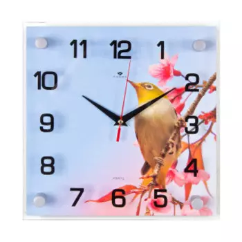 Часы настенные Рубин 2525-040