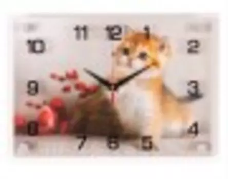 Часы настенные Рубин 2535-094