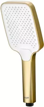 Душевая лейка Raglo R450.52.03 золотой сатин