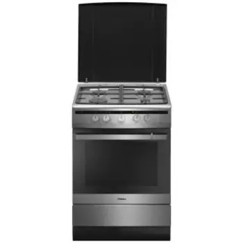 Газовая плита Hansa FCMX68022