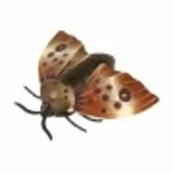 Игрушка на радиоуправлении 1 TOY Робо-мотылек (Т16441)