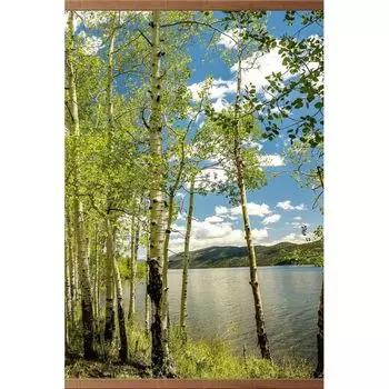 Инфракрасный обогреватель Домашний Очаг Березки