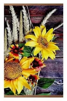 Инфракрасный обогреватель Домашний Очаг Подсолнухи