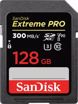 Карта памяти Sandisk SDXC 128Gb Class10 SDSDXDK-128G-GN4IN