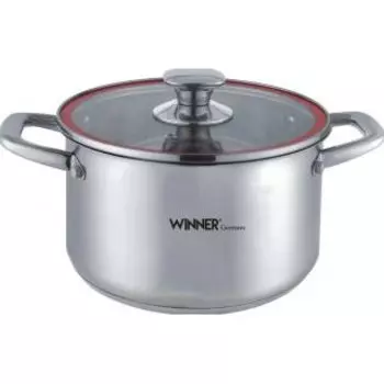 Кастрюля Winner WR-1191