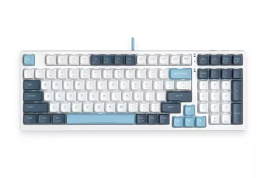 Клавиатура A4Tech Fstyler FS300 PANDA SNOWBOARDING белый/синий