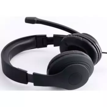 Компьютерная гарнитура Hama HS-USB300 черный
