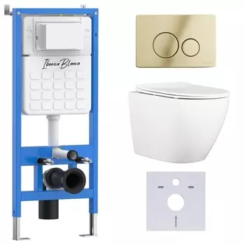 Комплект инсталляции Iberica Blanca (инсталляция + унитаз BILBAO ALTO (IB.BLA.231.1B1) + кл. смыва шампань/золото глянцевый, нержавеющая сталь INOX-O IB.B081.006.002 (IB001.BLA.231.816) (2 коробки)