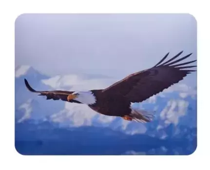 Коврики для мыши Buro BU-M40005 орёл