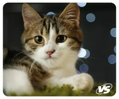 Коврик для мыши VS Cat Рис.7 (VS-B4651)