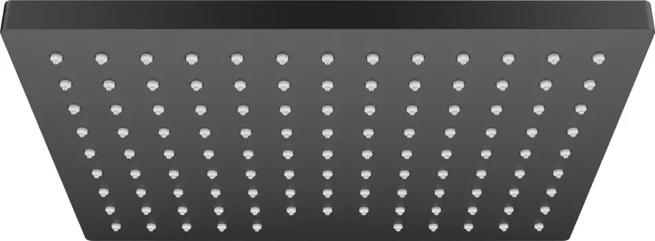 Лейка верхнего душа HansGrohe Vernis Shape 26281670