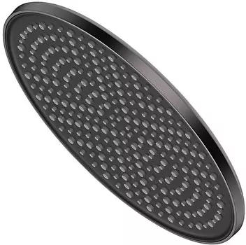 Лейка верхнего душа Raglo R451.50.09 графит