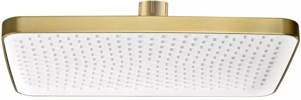 Лейка верхнего душа Raglo R451.52.03 сатин золотой