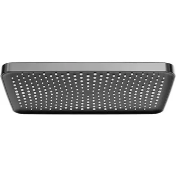 Лейка верхнего душа Raglo R451.52.09 графит