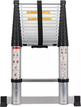 Лестница Gigant LT-01 1x15