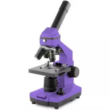 Микроскоп Levenhuk RAINBOW 2L AMETHYST (Аметист)