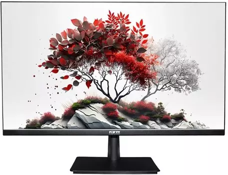 Монитор RDW Computers RDW2701K черный