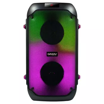 Музыкальный центр Ginzzu GM-234
