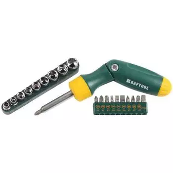 Набор инструментов Kraftool 26151-H21 21пр.