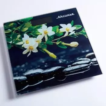 Напольные весы Аксинья Гармония КС-6006