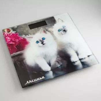 Напольные весы Аксинья КС-6003 пушистые котята