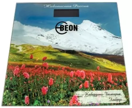 Напольные весы Beon BN-1106
