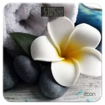 Напольные весы ECON ECO-BS004