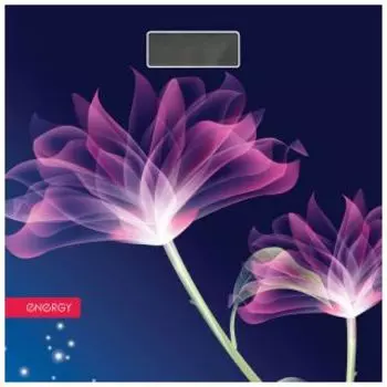 Напольные весы Energy EN-419G