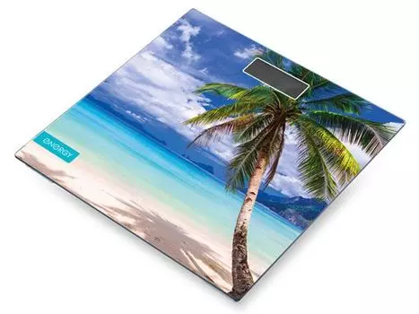 Напольные весы Energy EN-419P