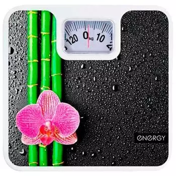 Напольные весы Energy ENM-409D