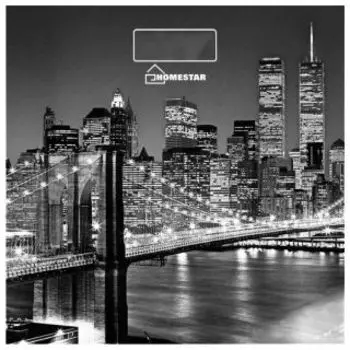 Напольные весы Homestar HS-6001E (003845)