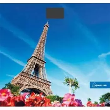 Напольные весы Homestar HS-6001K