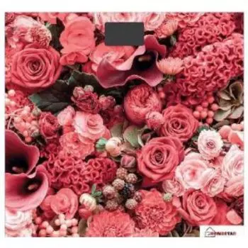 Напольные весы Homestar HS-6001L