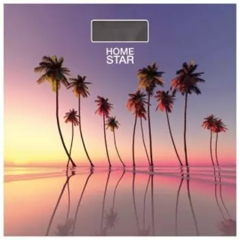 Напольные весы Homestar HS-6001S