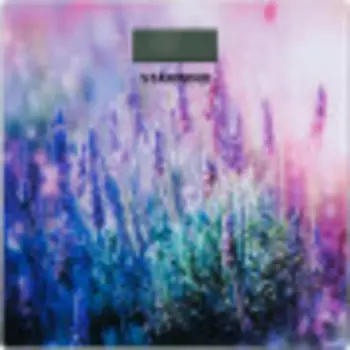 Напольные весы Starwind SSP6049 рисунок