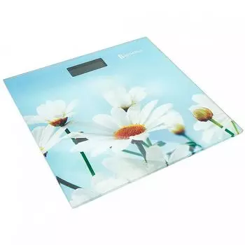 Напольные весы Василиса ВА-4014 Ромашки