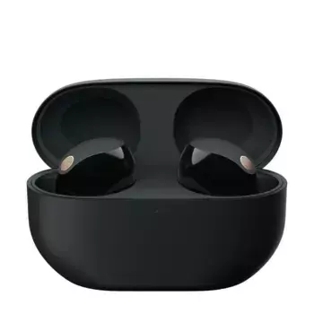 Наушники Sony WF-1000XM5 черный