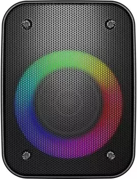 Портативная акустика Hyundai H-PS1005 черный