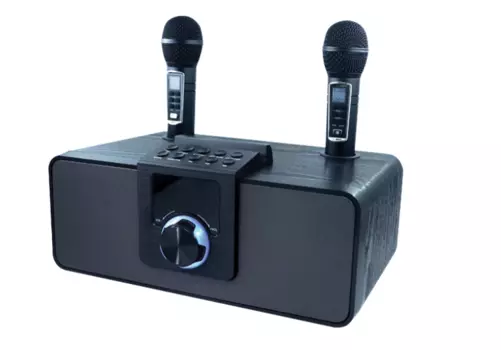 Портативная акустика Ritmix SP-660B черный