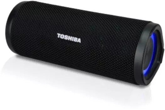 Портативная акустика Toshiba TY-WSP102