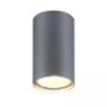 Потолочный светильник Elektrostandard 1081 GU10 SL серебро 5257 a037714