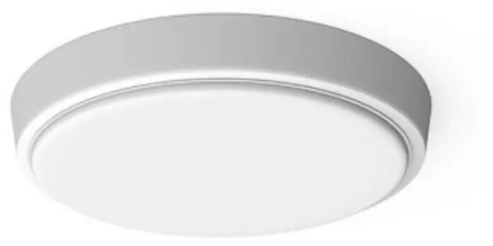 Потолочный светильник Gauss 193411315 белый опал