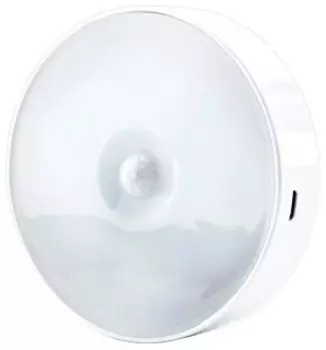 Потолочный светильник Glanzen RPD-0001-night