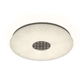 Потолочный светильник Ritter 52250 8