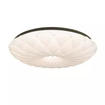 Потолочный светильник Спутник SP-PDU F96W