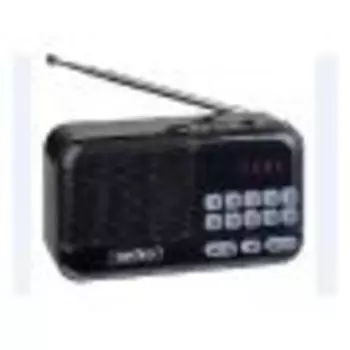 Радиоприёмник Perfeo ASPEN черный (PF_B4059)