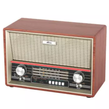 Радиоприёмник Ritmix RPR-102 бук