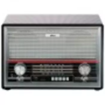 Радиоприёмник Ritmix RPR-102 карбон