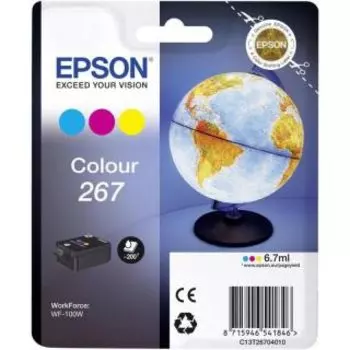 Картридж Epson C13T26704010 (T267)