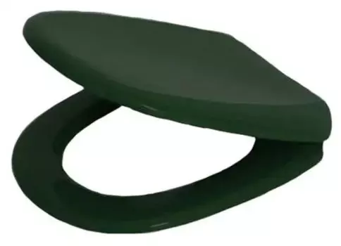 Сиденье для унитаза Iddis ID 01 061.1 zel зеленое